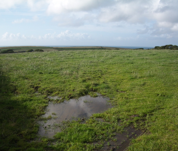 File:Llanrhian, pasture land after rain - geograph.org.uk - 1405147.jpg